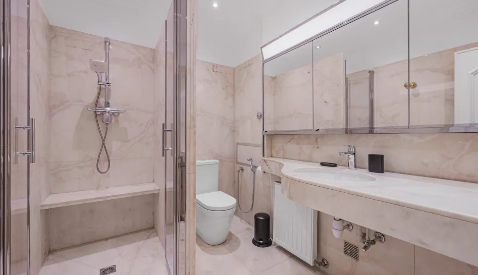 Luxury marble bathroom. Walk-in shower with bench, designer toilet, double vanity. High-end elegance and comfort.